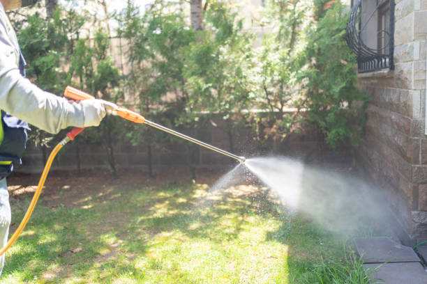 Best Lawn Pest Control  in Lake Katrine, NY